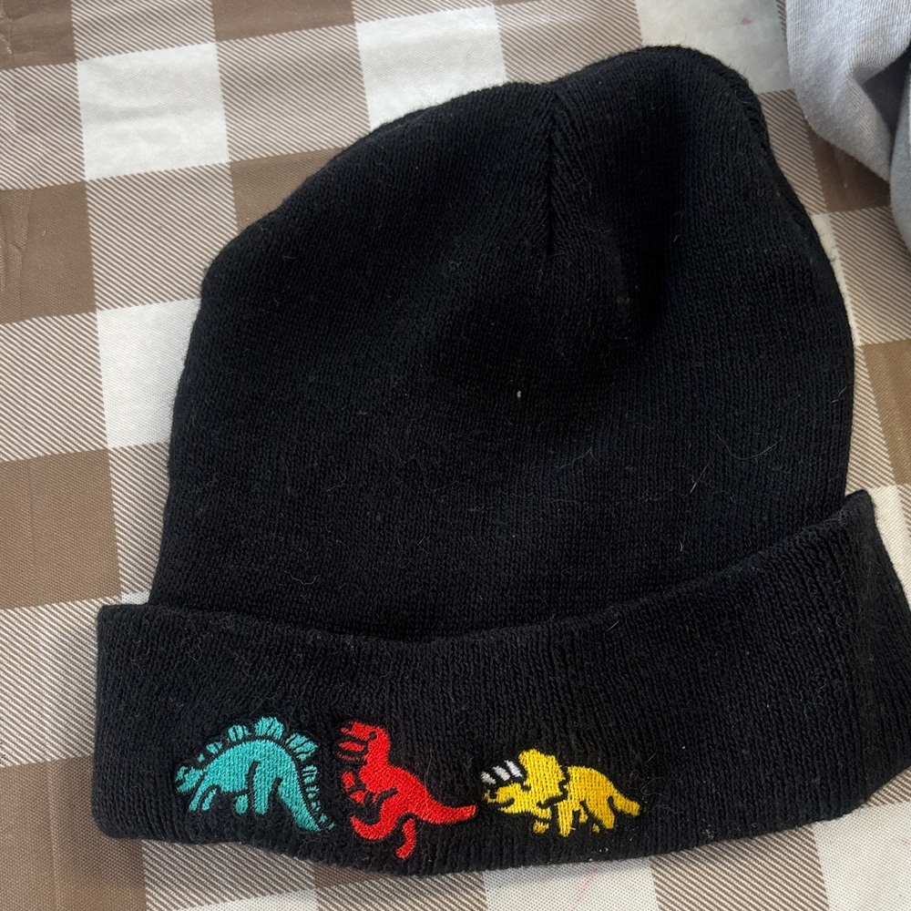 🟢10/$10 - winter hat